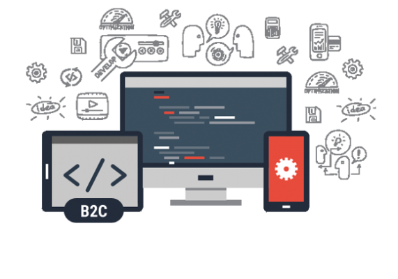 B2C Portal Development Services faisalabad Jaranwala